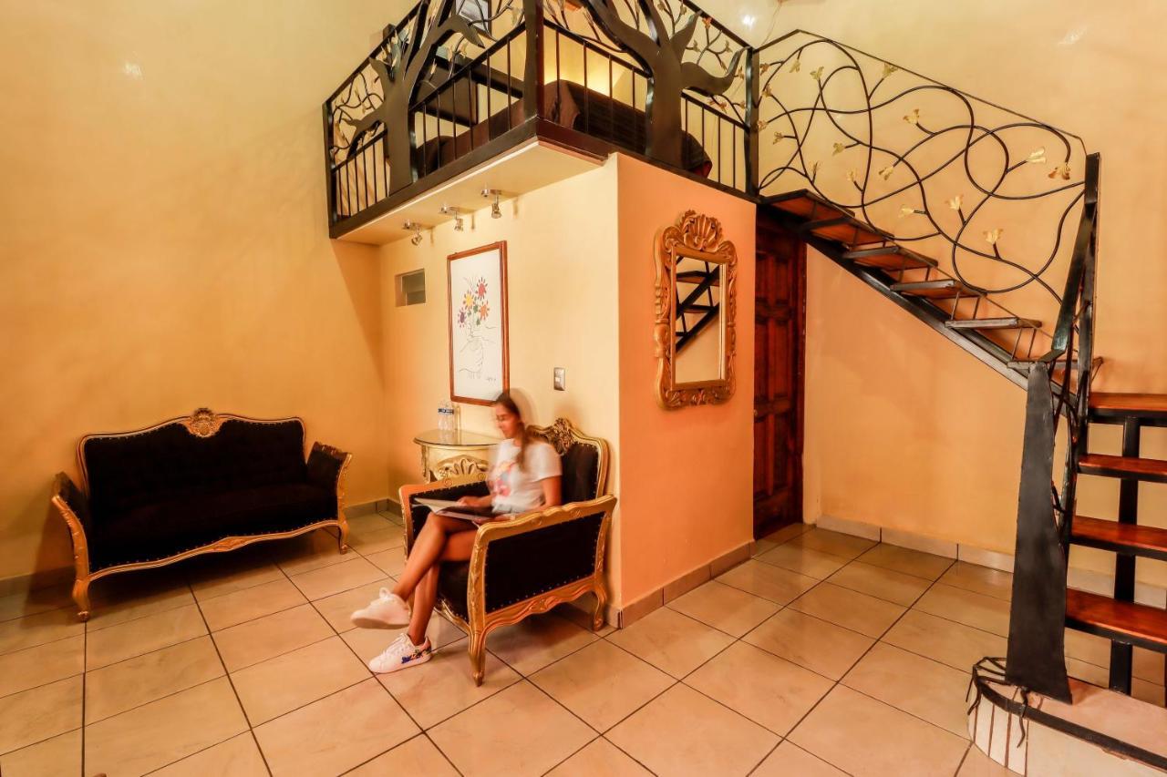 Hotel La Siesta Del Fauno Morelia Eksteriør bilde